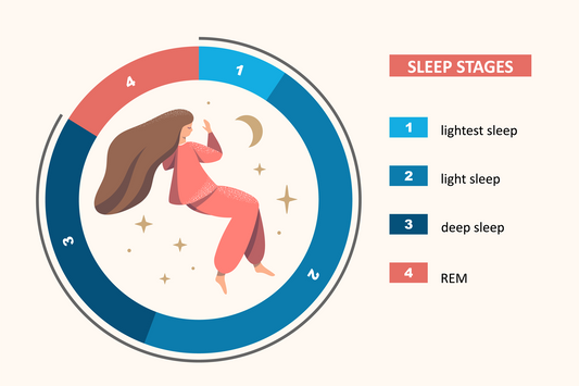 How Sleep Cycles Work: Understanding REM and Non-REM Sleep