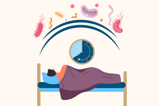 The Connection Between Sleep and the Immune System