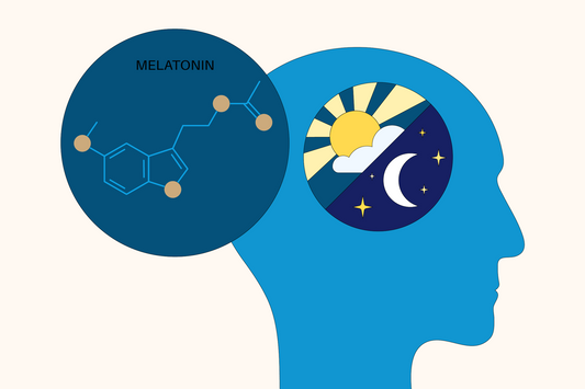 The Role of Melatonin in Sleep Regulation