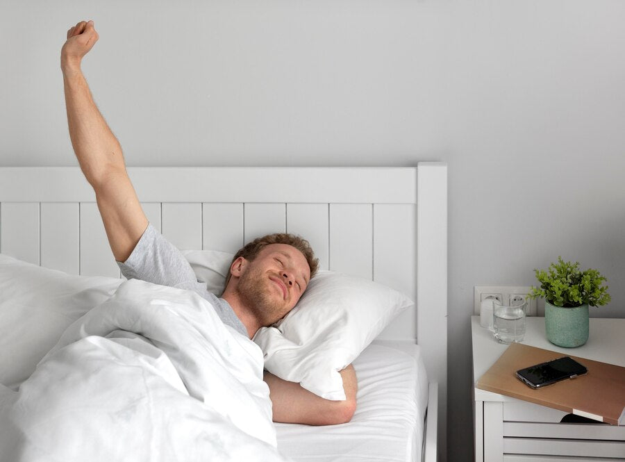 Latex Bed Mattresses